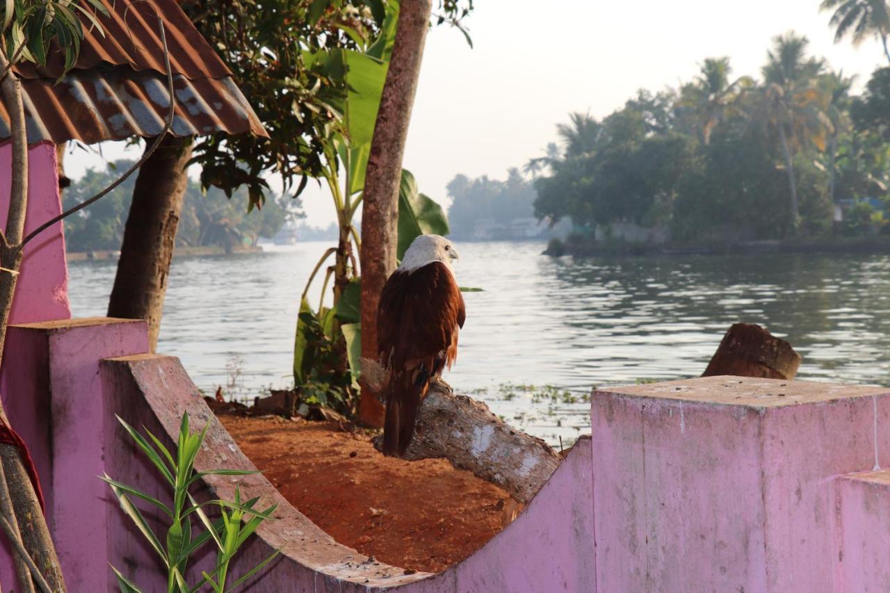 Marari Houseboat Hotell Mararikulam Eksteriør bilde